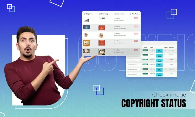 Check Image Copyright Status