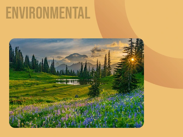 Environmental