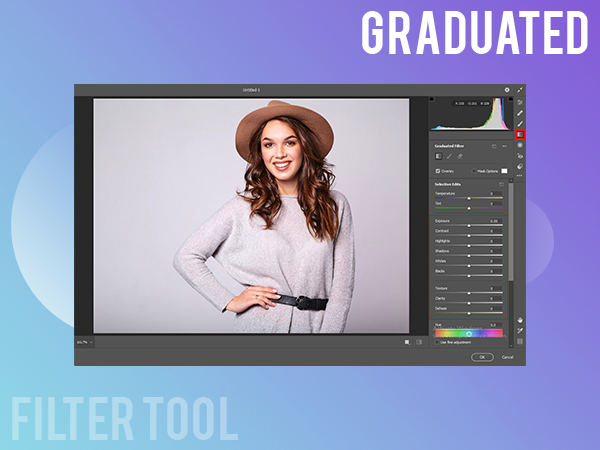Graduated Filter Tool