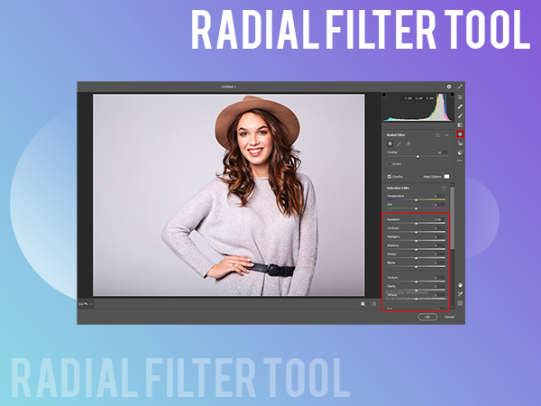 Radial Filter Tool