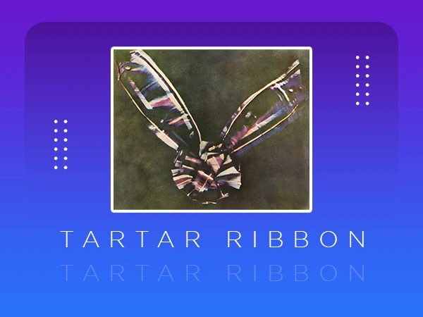 Tartar ribbon