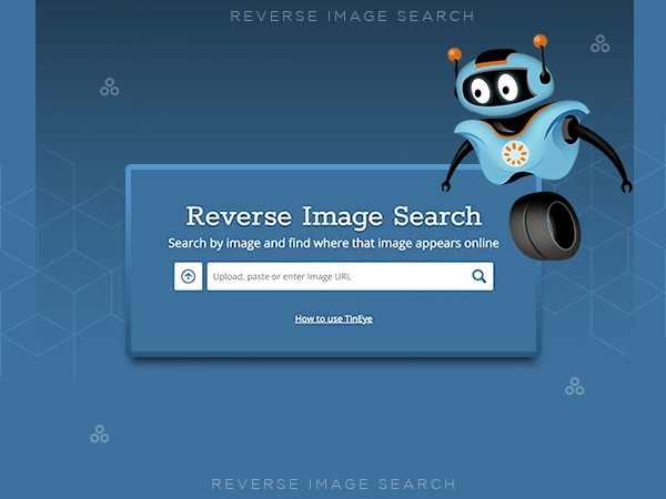 TinEye Reverse Image Search