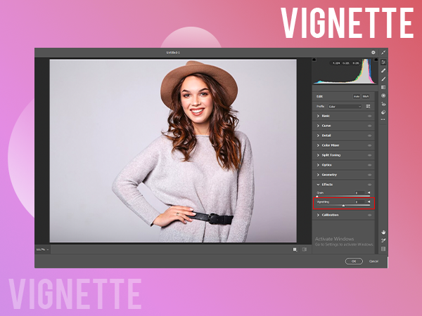 Vignette
