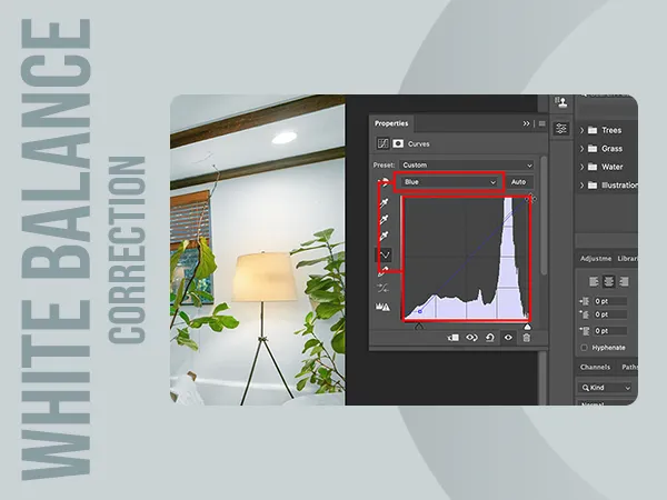 White Balance Correction