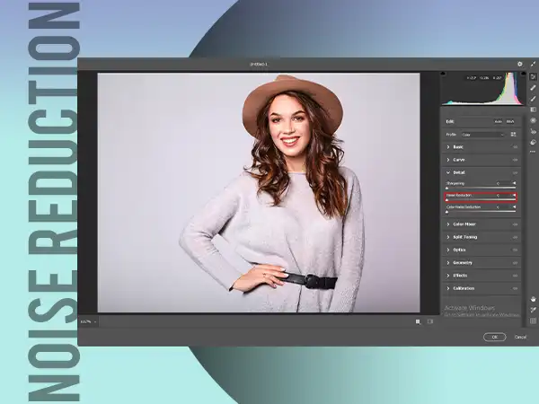 e934_Noise-Reduction