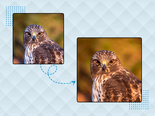 Photo Color Correction Improves Online Performance