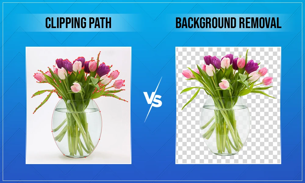 Clipping Path vs Background Removal