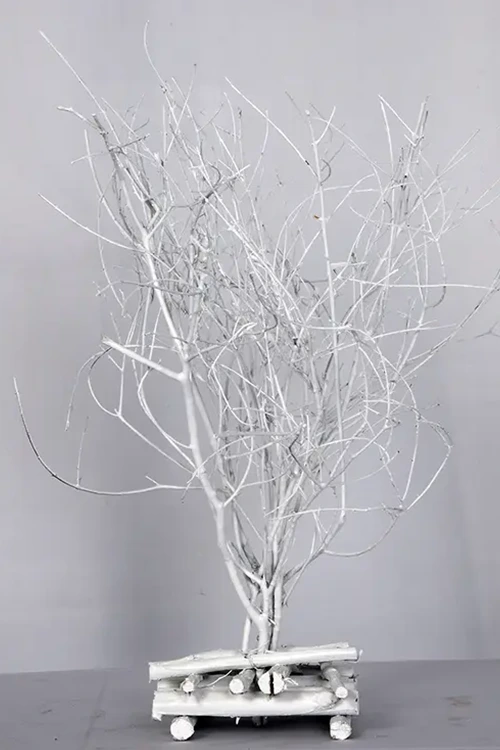 Before Intricate Image Editing Service