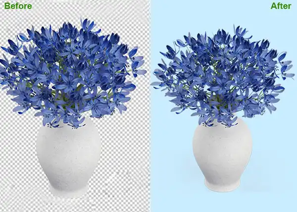 e37f_Clipping-Path-vs-Background-Removal