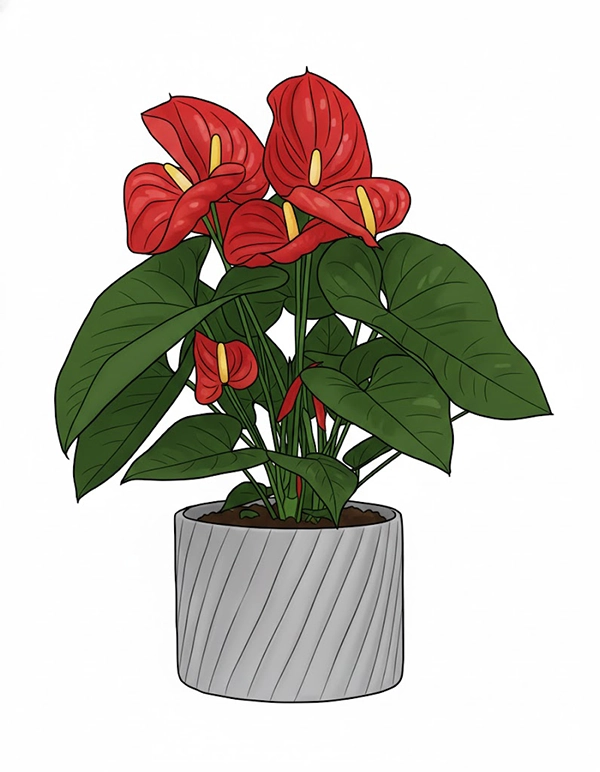 After Intricate Photo Editing Service