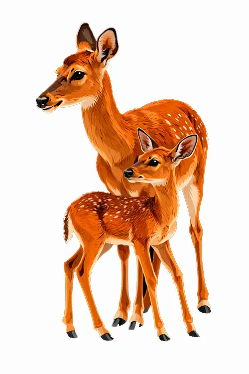 After Complex Photo Editing Service