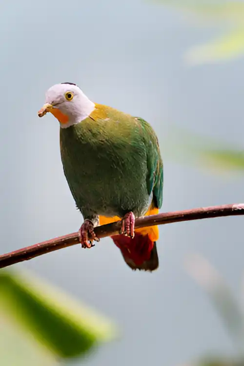 Before Simple Image Background Removal Service 1