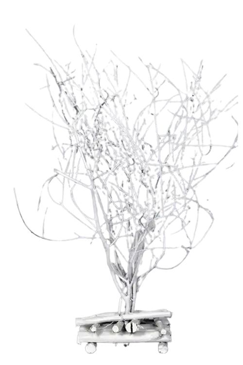 After Intricate Image Editing Service