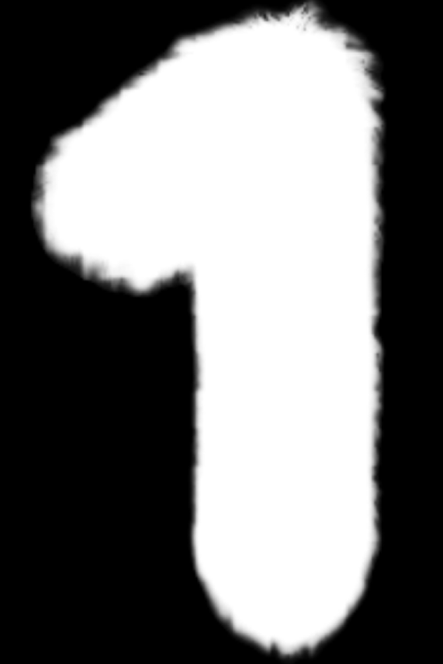 After Masking Clipping Path Service 1