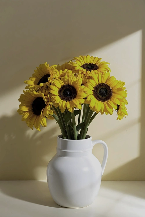 Before Complex Image Editing Service