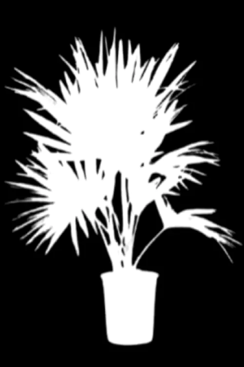 After Intricate Photo Editing Service