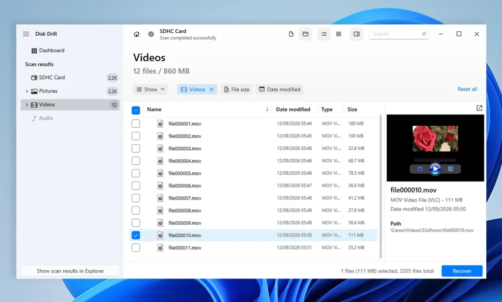 Filter the results by video type and preview the files